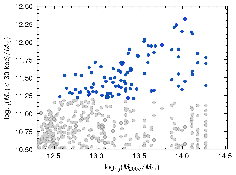 image-20250106202610865