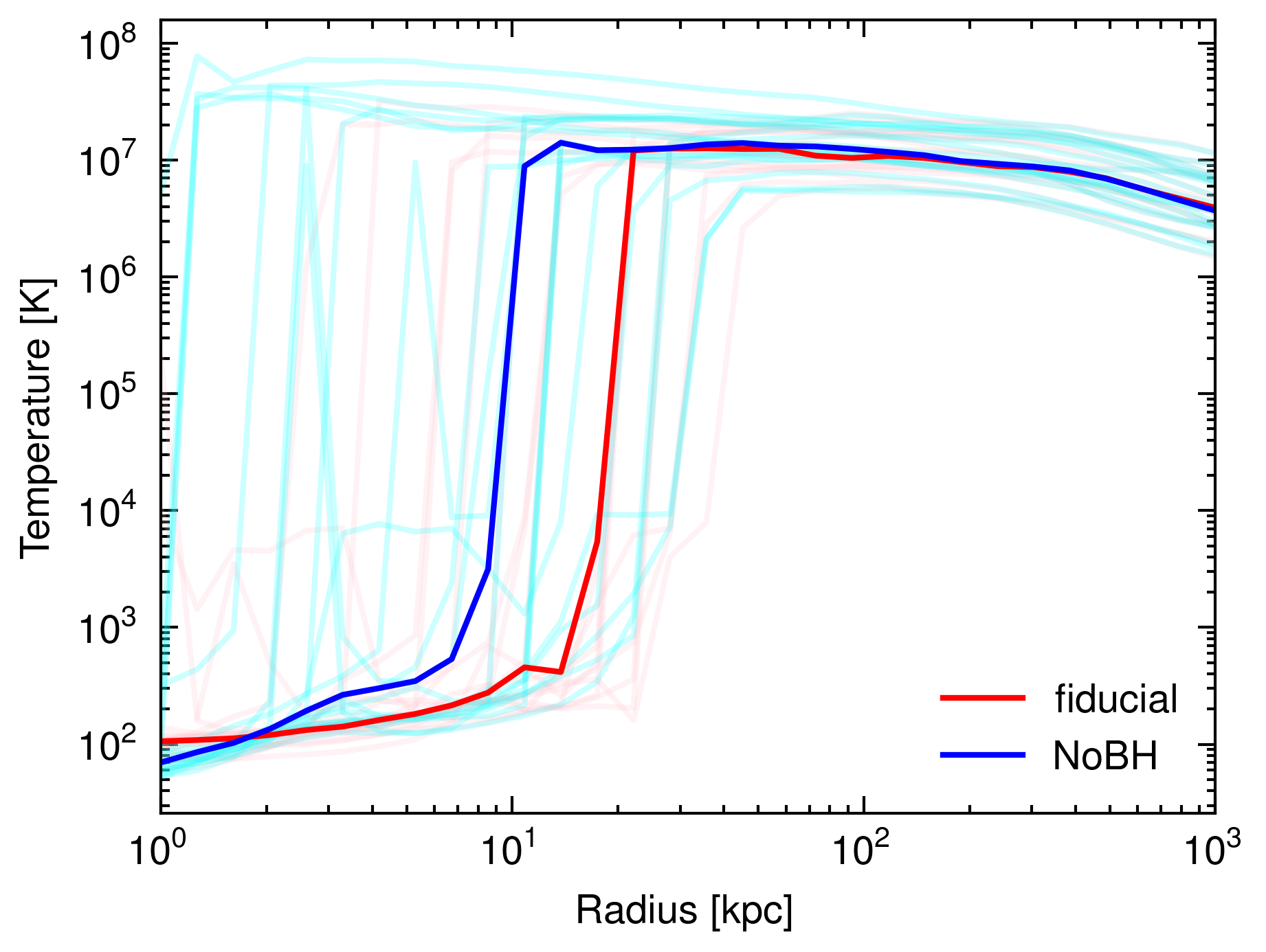 image-20250107202654127